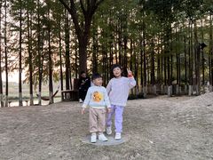 -乌村