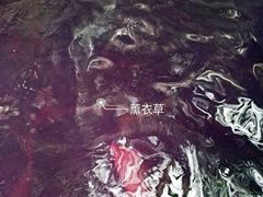 -龙达温泉生态城