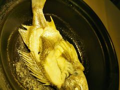 油盐焗海立鱼-百味馆·粤菜·湛江菜(后海花园店)
