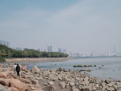 -深圳湾公园(南山区)