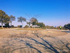 -南京市江宁方山