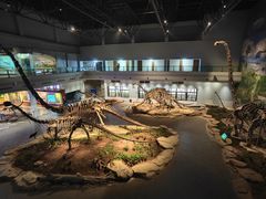 -自贡恐龙博物馆