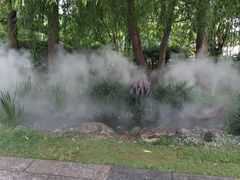 -台儿庄古城