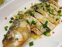 -寻味顺德·南记酒家·传统顺德菜·鱼生(广源路店)
