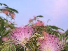 -苏州工学院(东湖校区)