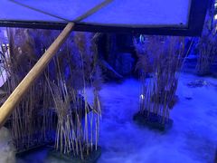 -淀里船宴(卓达店)