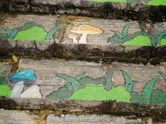 -广州白江湖森林公园