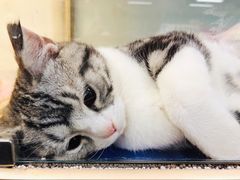 -乐宠宠物店(世纪金源店)