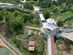 -西霞口神雕山野生动物世界