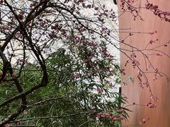 -钱王祠