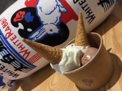維他朱古力-歎雪糕低糖低脂Gelato冰淇淋