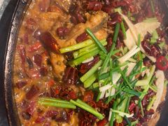 -老板恋上鱼(印象城店)