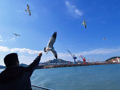 -海驴岛(荣成市)