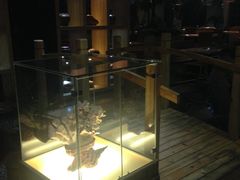 大堂-春润大地海南椰子鸡(沙井京基百纳广场店)