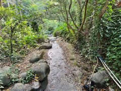 -火炉山森林公园