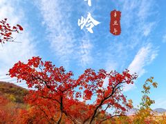 -周口店坡峰岭风景区