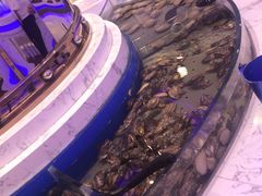 -澜悦港海鲜体验主题餐厅