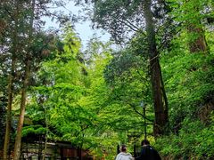 -瑞凤殿(Grave of Date Masamune)
