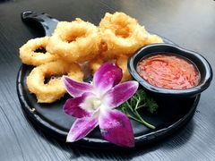 -猫小院猫主题咖啡厅(北锣店)