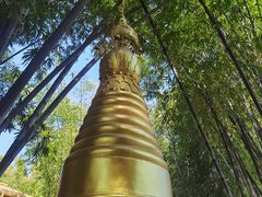 -云南勐巴娜西珍奇园