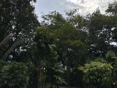 -中国科学院西双版纳热带植物园