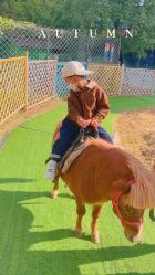 -萌宠亲子动物乐园(槐房万达店)