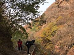 -云岫谷自然风景区