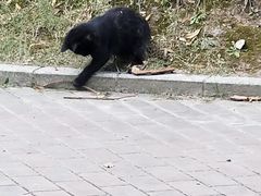 -黄兴公园