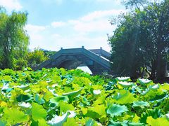 -高子水居