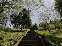 -重庆园博园