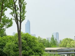 -月湖风景区
