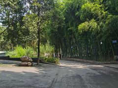 -西安市长乐公园