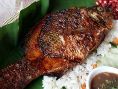 -金塔傣乡·云南民族特色菜·傣味手抓饭(金瓦路店)