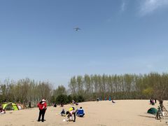 -东郊湿地公园