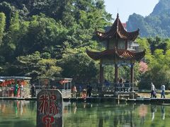 -靖西鹅泉风景区