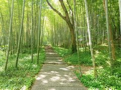 -采石矶景区