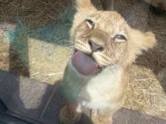 丽华园(沌口店)-丽华园(汉阳龙阳店)