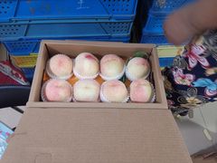 -老袁家蜜桃农场·阳山水蜜桃