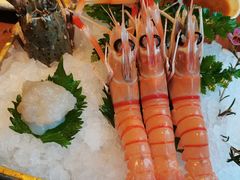 -Mr.Fish鱼鲜生海鲜放题(高德置地冬广场店)