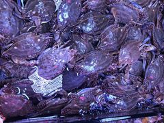 -营口路海鲜市场