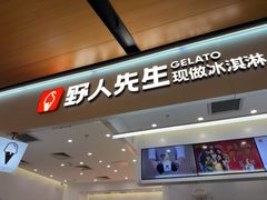 -野人先生现做冰淇淋(北京环宇荟店)