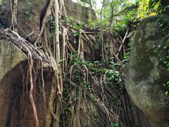 -乌山风景区