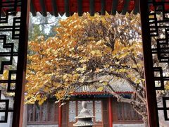 -万寿八仙宫