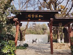 -白马涧龙池景区