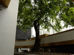 -尼依格罗香港美利酒店