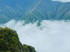 -陕西省红河谷森林公园