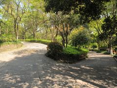 -杭州半山国家森林公园