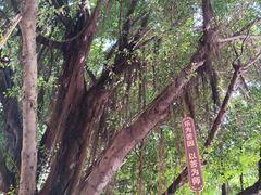 -福州开元寺