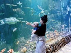 -华夏文旅海洋公园