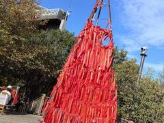 -帽儿山国家森林公园